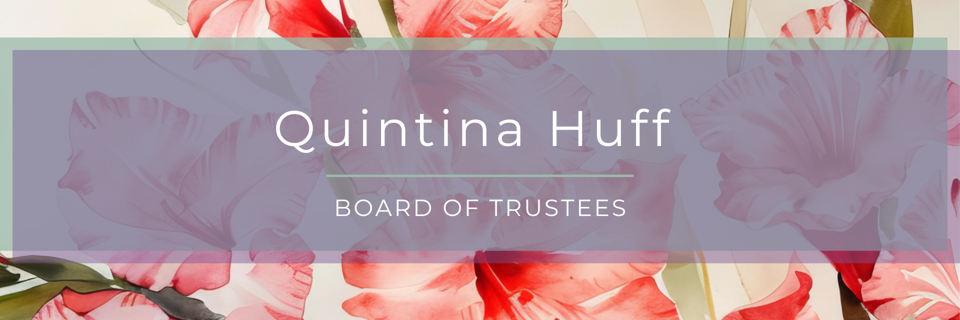 quintina board profile