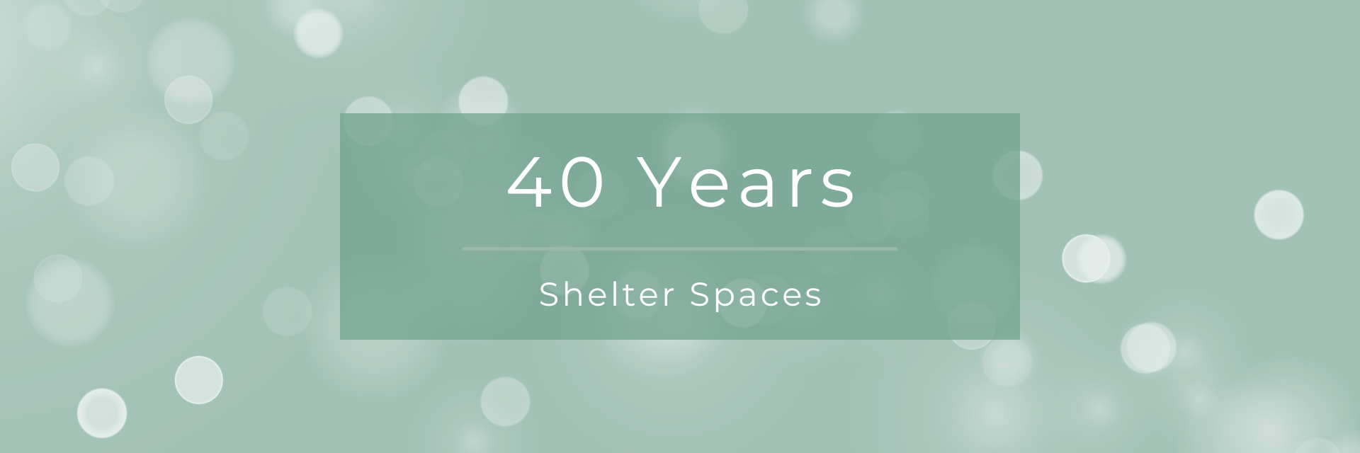 shelter spaces header